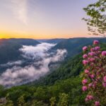 Highland - West Virginia’s Mental Health