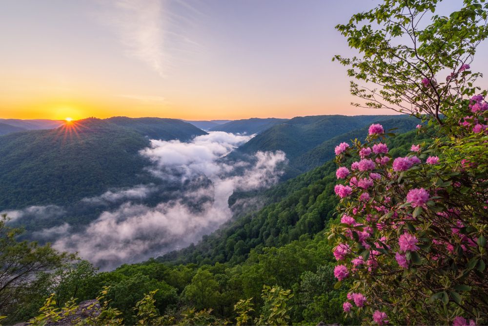 Highland - West Virginia’s Mental Health